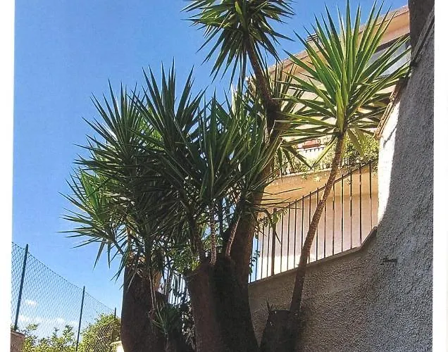 Il Tronchetto